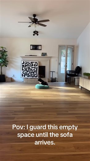 Richie The Bitchy (@richie.the.bitchy)’s videos with original sound - Richie The Bitchy