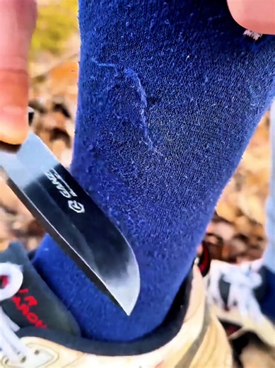 Essential Camping Survival Hacks for Forest Adventures