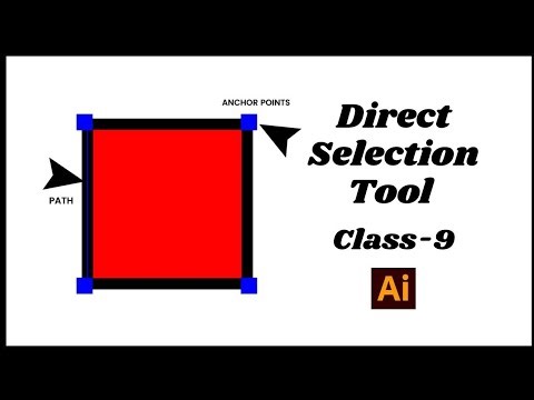 How To Use Direct Selection Tool In Adobe