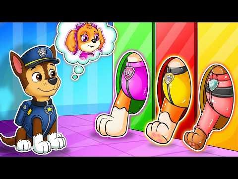 Chase’s Choice Challenge! Where’s Skye? 🐾🤔 | Funny PAW Patrol Animation