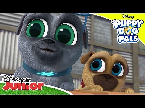 Playtime with Puppy Dog Pals: Puppy Pool Party 🏝| Puppy Dog Pals | Disney Channel Africa