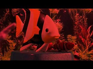 Finding Nemo 2.0 gills escape plan playmobil