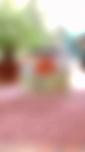 ALT LEGO® DUPLO® -20%* - kun i en begrænset periode. Perfekt til gaveidéer under træet 🎄 *Rabatten er fratrukket varens oprindelige pris. | Kids-world