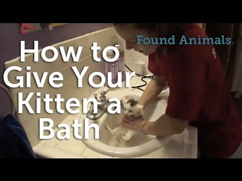 How to Give Your Kitten a Bath