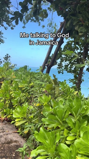 I mean can you blame me 🥹 #jamaica #nature #boulder #shrek