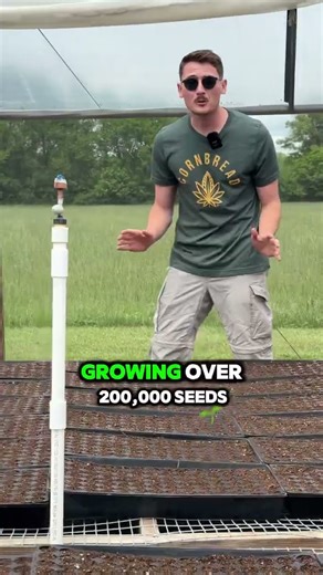 This greenhouse could get us in trouble