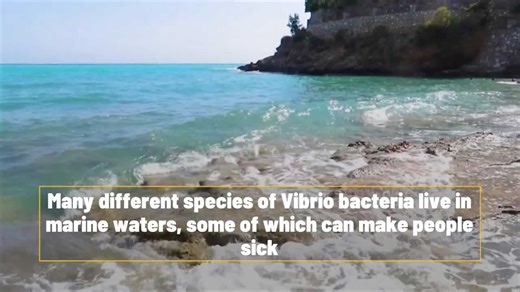 How To Avoid Beach Germs