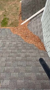 Gutter guards and not maintence free I have no clue why people believe what they see. We install some but we make sure the customer gets them blown off and flushed every November. This was a customer with existing guards with a few years of build up. #satisfying #homeimprovement #homemaintenance #stihl #homecaretips | Lilyraeefive