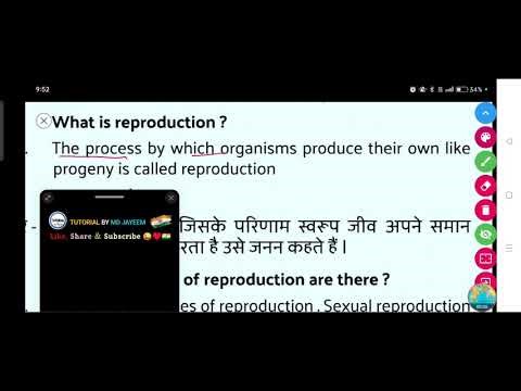 What is reproduction?