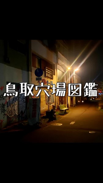 米子市の人なら知ってるあの場所。#鳥取県 #鳥取 #みんなに見せたい動画 #伝えたいこと #紹介 #紹介動画 #おでかけxmas
