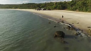 56K views · 49 shares | You'll be planning a Cape York trip once you see this campsite! Lucky for Shaun the 12V setup in his 79 series means he’s always powered up to relax and enjoy spots just like this one. | Australian 4WD Action | Facebook