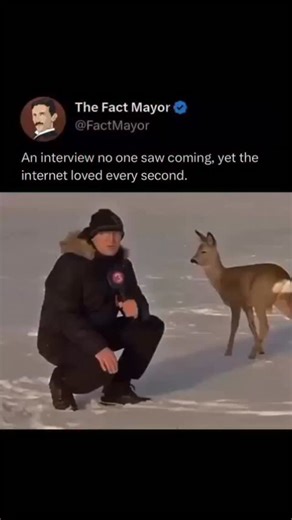 Fact Mayor | In 2017, an Estonian news outlet captured an unexpectedly surreal moment during a local report in Järvamaa that later became known online... | Instagram