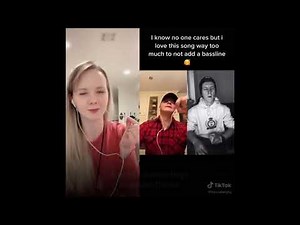 Nathan Evans - The Wellerman (SWR Version)