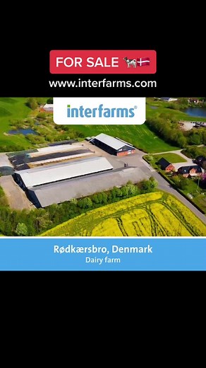 New 💥 Large-scale dairy farm with biogas plant in Rødkærsbro, Denmark. More information on our website 📲 #farmlife #farm #farmer #boer #boerin #boerderij #boeren #boerentrots #boerentrots #farming #farmtok #farming #melkvee #trotsopdeboer #agriculture #agri #melkveehouderij #denmark #fyp #fy