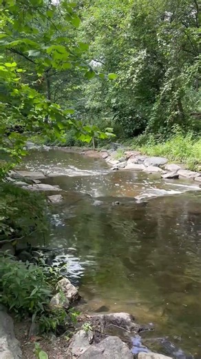Silver Spring MD June 2026 #nature
