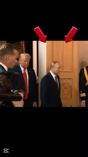 here is why poutine walk strangely?? #usa #intersting #learnontiktok #harvard