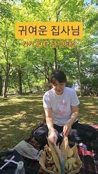 6년차 유투버/취미생활추천/일상나눔/소풍도시락/갱년기취미생활/센트럴파크/귀여운집사님/산책코스추천