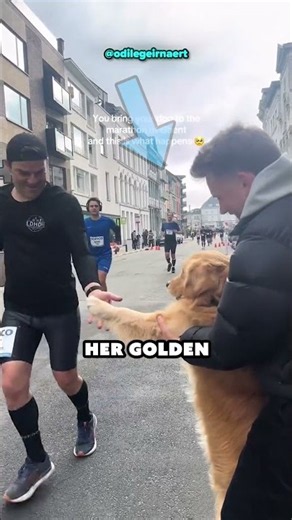 This dog gave high-fives to marathon runners! ❤️😱