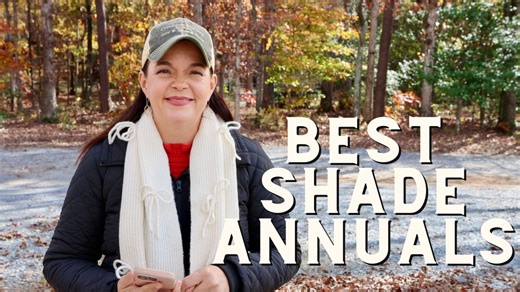 3.8K views · 230 reactions | Join me as we explore the best annuals...
