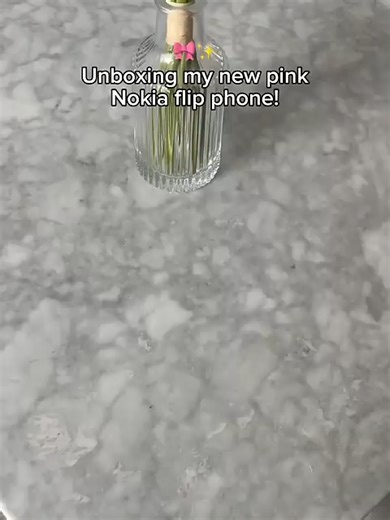 Surviving 90s Technology: The Nokia 3310 Experience