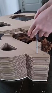 1.5K views · 18 reactions | Griffoir facile à assembler et rechargeable quand le carton est usé. Un moment de complicité à partager avec son chat chéri 殺 ️ Griffoir Homycat modèle Esperluette Format XL à retrouver sur : https://homycat.com/products/griffoir-chat-design-symbole-esperluette-et-commercial-objet-deco-chat-format-xl #bengal #homycat #griffoir #chat @bengal_olospu | Homycat | Facebook