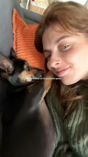 my little min pin #DogMomLife#TinyDog#CozyLife#EverydayMoments