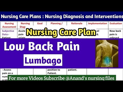 Nursing Care Plan on Low back pain/lumbago//Nursing care plan on Back Pain #nursingcareplan