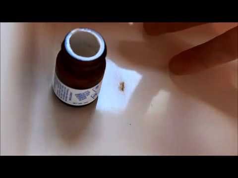 Por Ca Fix application