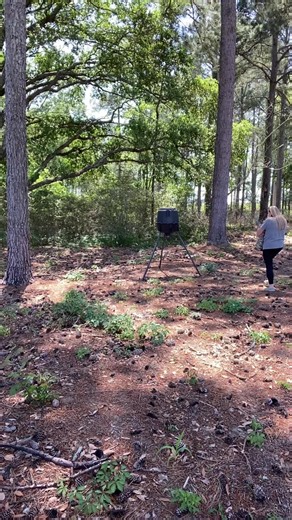 Trying to get my deer coming back 🤣 will we attach deer or hogs? #southga #feeder #girlsthathunt #icandoitmyself