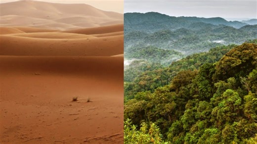 What could stop Africa’s desert collapse before it’s too late?