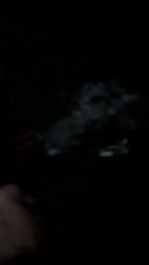 9.7K views · 26 reactions | Studio AP Audiovisuel on Reels | Facebook