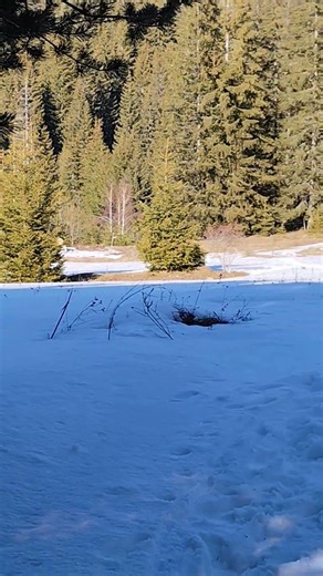 Mechta Lake vicinity Winter Scenic Mountain landscape