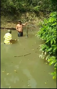 What kind of fish is this? How to catch it? | CarpStore