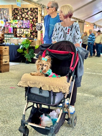 Springfest is officially ON at the OC Inlet! Picture this: smoky pit beef, fresh-squeezed lemonade, handmade art, and live music with the ocean as your backdrop. It’s the perfect kickoff to the season—and it’s free to get in. Grab your crew, follow the music, and let’s make some beachside memories. #exploreocmd | Explore OC