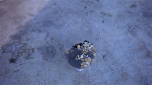 Master these Survival Skills For Wilderness