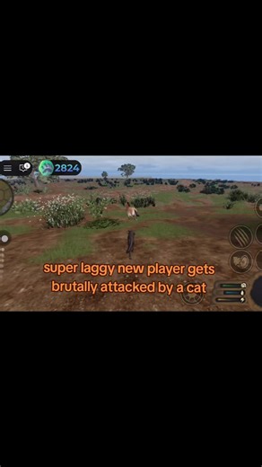 Hilarious Roblox Cat Attack