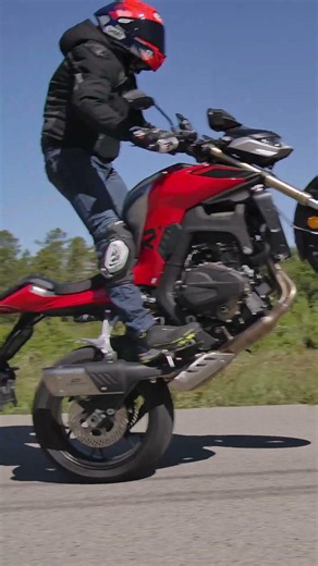 The Roadster That Disrupts | QJ Motor SRK 800