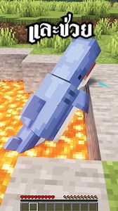 98K views · 4.2K reactions | ผมเจอ ปลาฉลาม จมลาวา #minecraft #survival #mcpe #minecraftmemes | Endingxd | Facebook