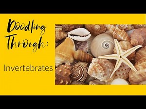 Doodling Through Invertebrates: CC Cycle 1 Week 5 Science Foundations Supplement