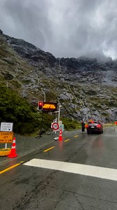 79K views · 696 reactions | New Zealand Nature Life on Reels | Facebook