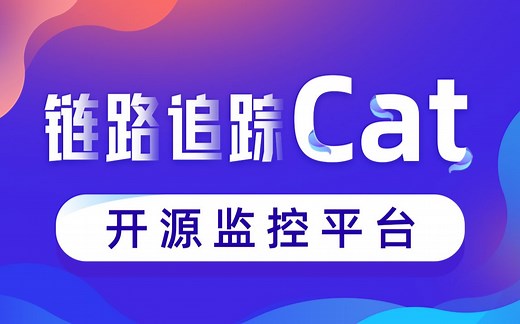 黑马程序员Java进阶教程Cat入门，美团点评链路监控平台Cat入门到精通
