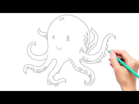 Octopus Drawing// How to Draw Octopus Step by Step/@babylearningindia