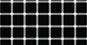 16 ảo giác hình học đơn giản nhưng lại khiến cho bạn bối rối vô cùng