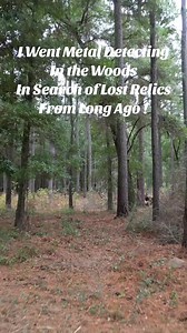 2.9K views · 59 reactions | Searching for lost relics in the woods in with my metal detector ! #metaldetecting #finds #reels | Southern Relic Adventures | Facebook