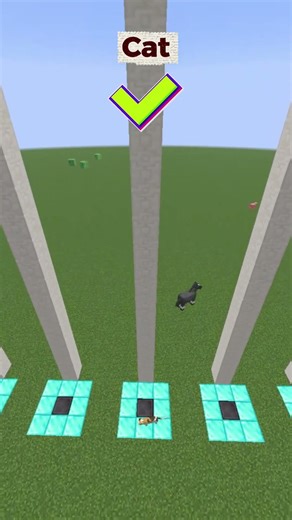 “Minecraft Mobs vs 50 Block Fall – Who Survives? 😱” ‪@minecraft‬ #minecraft