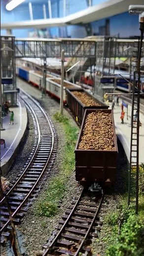 H0 Modelleisenbahn - Herbstzeit, Rübenzeit! #train #moba #h0 #railway