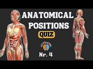 Master Anatomical Position and Directional Terms in Minutes! Quiz #4