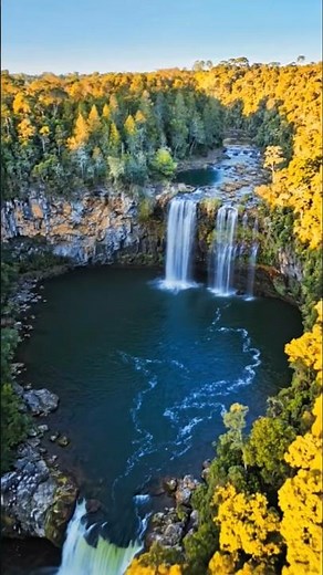 Gondwana Rainforests, Australia | Ancient Forest