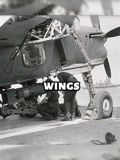 The Fairey Barracuda: British carrier-based torpedo Bomber of WWII