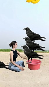 Banana catching viral funny VFX video shoot 😱 #viralvideochallenge2024followersfollowersfollowersfollowersfollowers #fbreelsfypシ゚viralfbreelsfypシ゚viral #foryoureels2024 #viralreelsfb2024 #fbreels2025ツ #fbreelsfypシ゚viralvideo #víral #followerseveryonehighlights #fbreelsfypシ゚viralシ #fbpost2025シ #fblifestylechallenge #fbviralpost2025シ #fbyシvideo #fbreelsfypシ゚ #viralvideochallenge ##foryou #foryoupageシ #foryourpage #viralvideochallenge2024followersfollowersfollowersfollowersfollowers #foryoureels2